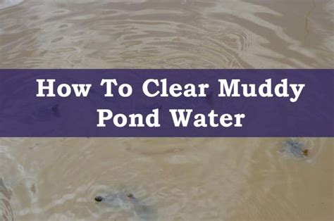 cleaning mud Australia|How to Clear Muddy Water – Water Quality Solutions.